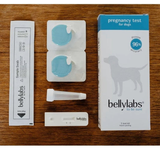 New*(96% Accurate) Pregnancy Test for Dogs (BellyLabs)